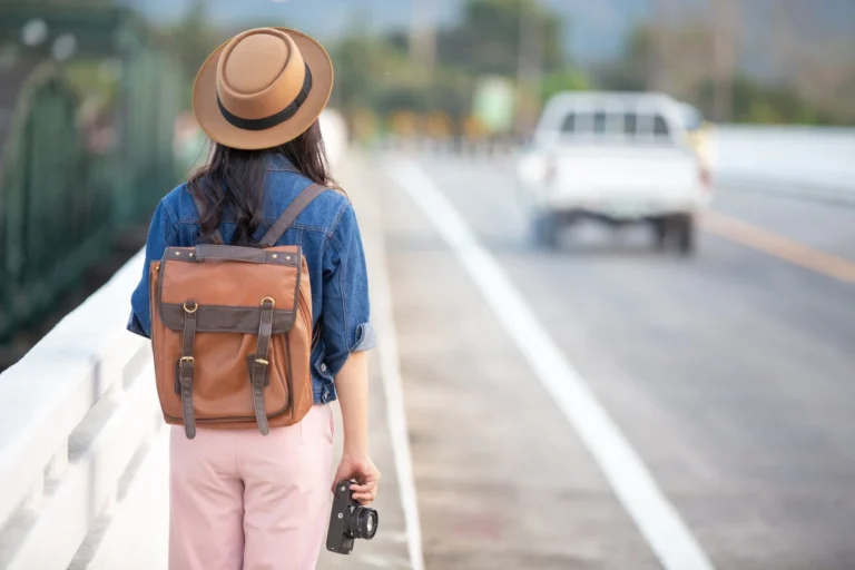 jenis traveller