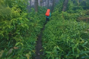 Gunung paling angker di indonesia