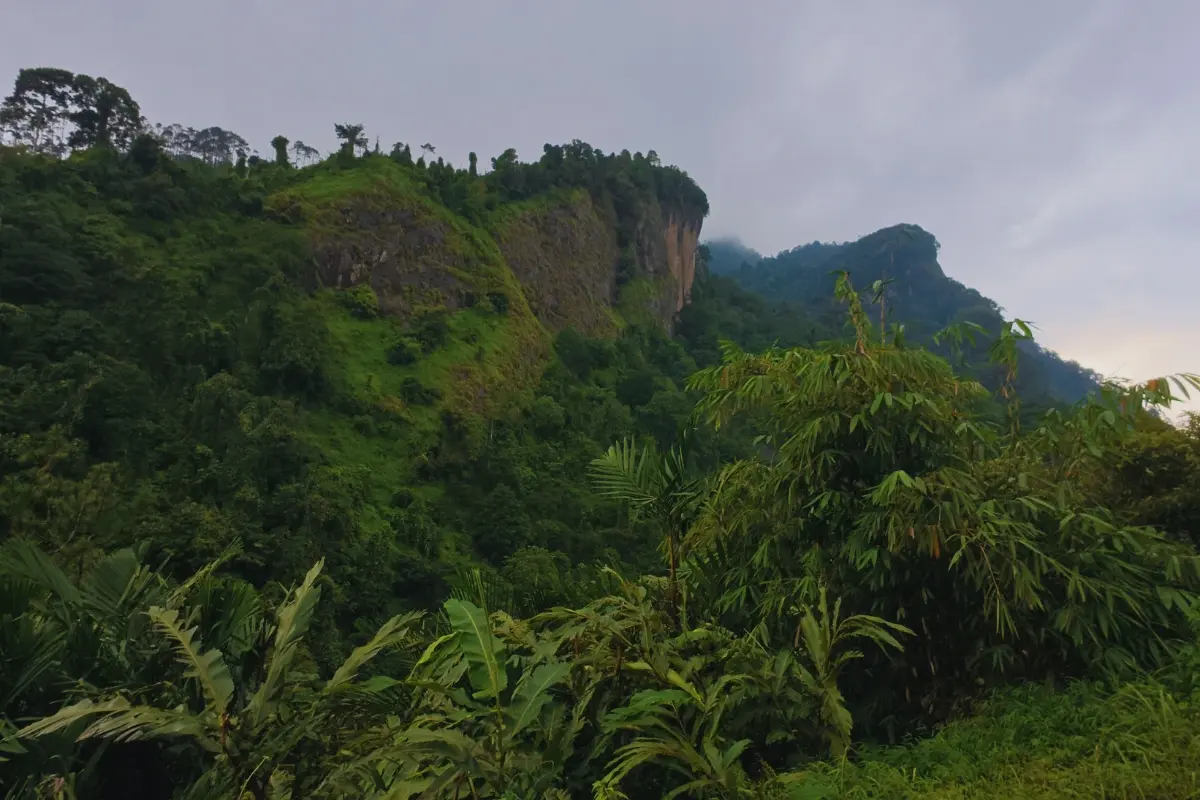 Bukit Siregol Purbalingga: Habitat Satwa Langka yang Indah