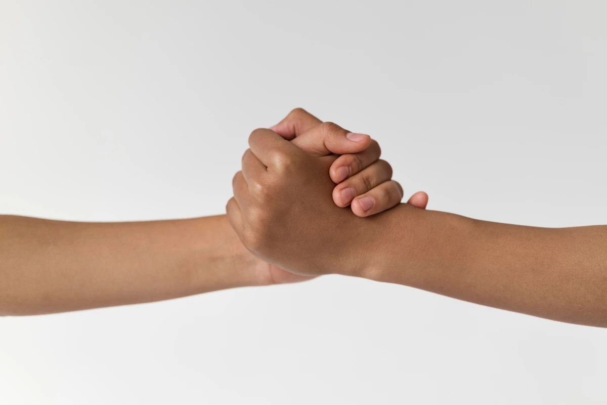 kolaborasi jaga hutan