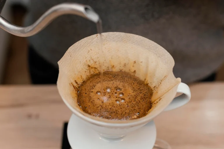alat manual brew v60