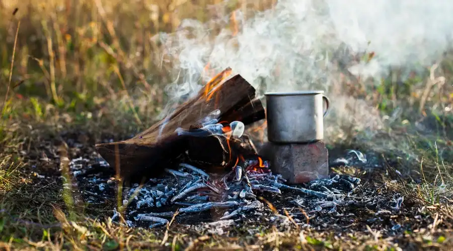 mengenal apa itu survival