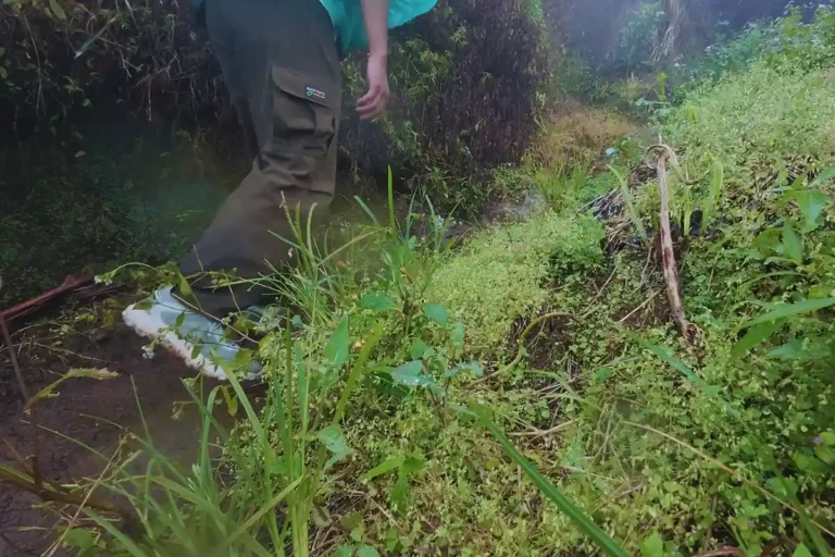 celana untuk daki gunung