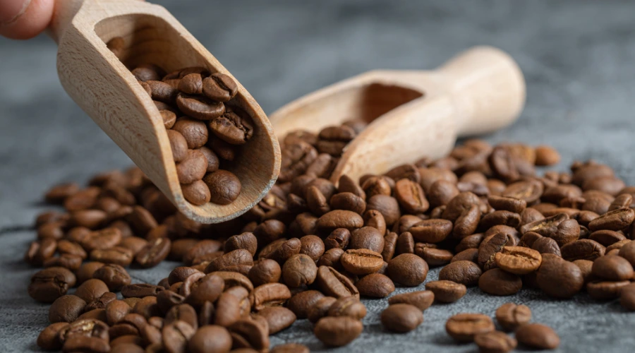 rekomendasi biji kopi