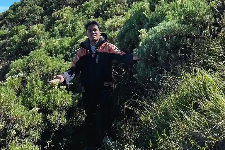 jaket gunung cozmeed argon pro diantara bunga edelwies