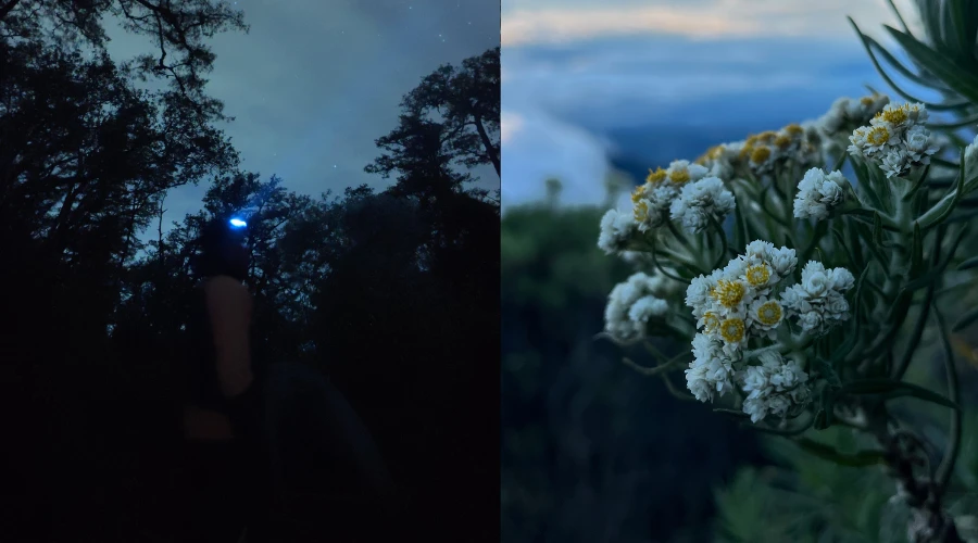 panduan mendaki gunung ciremai via apuy