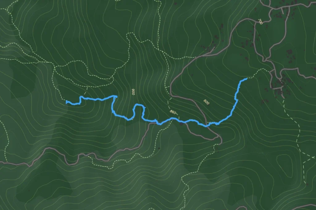 rute menuju puncak palasari bogor