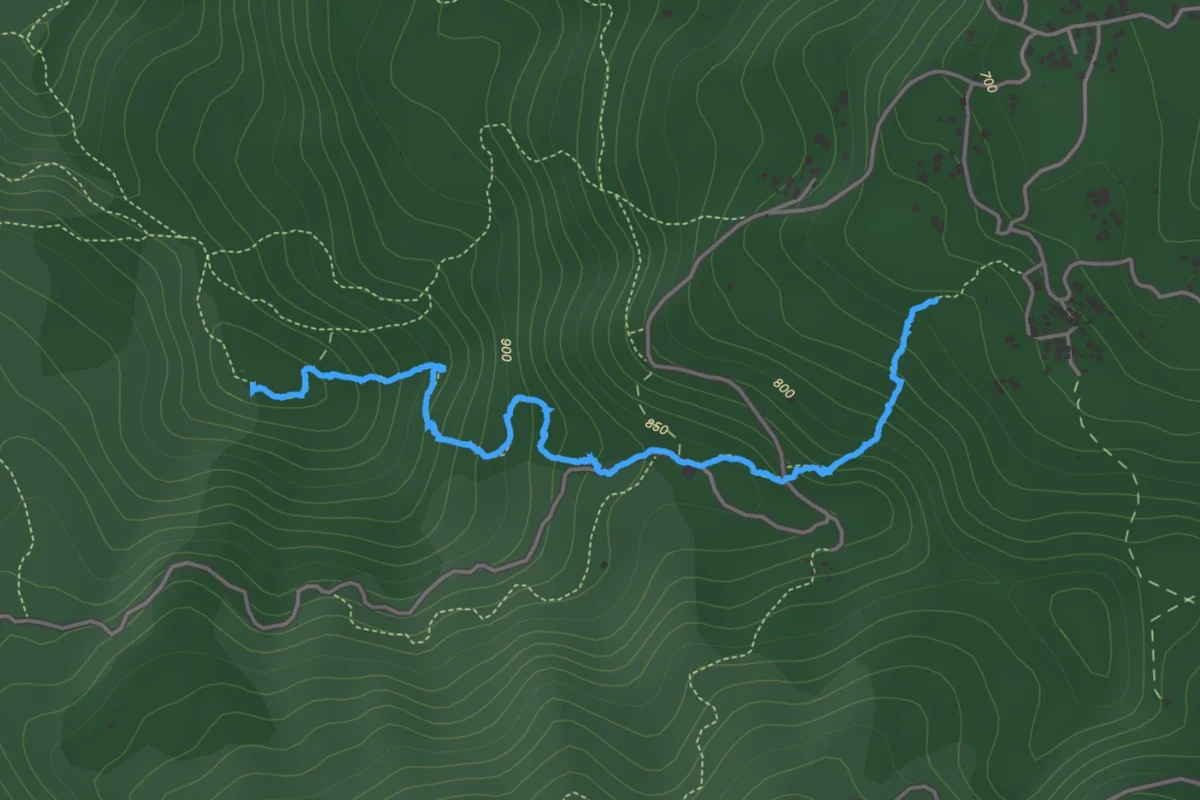 Rute & Jalur Pendakian Puncak Palasari Sukamakmur