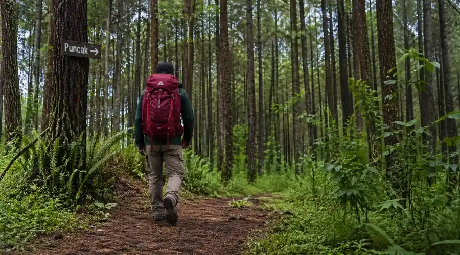 Daftar Gunung di Sukamakmur yang Ramah untuk Pemula