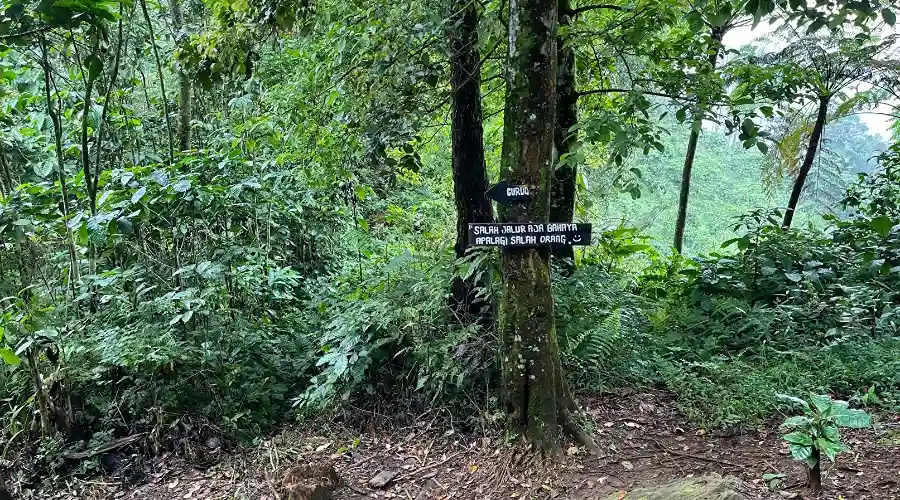 rute curug mariuk - 2