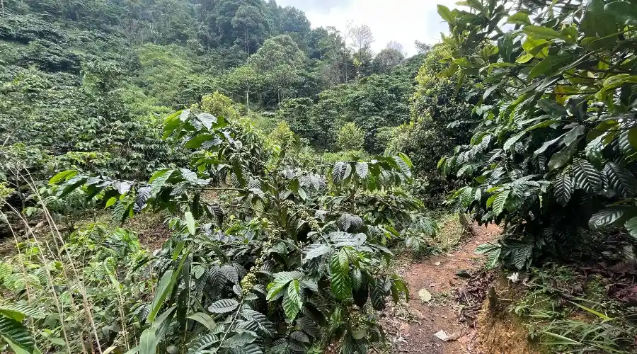 rute curug mariuk - 3