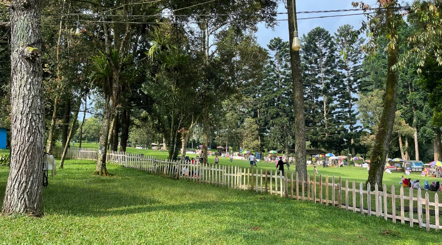 area hijau di bawah langit selabintana