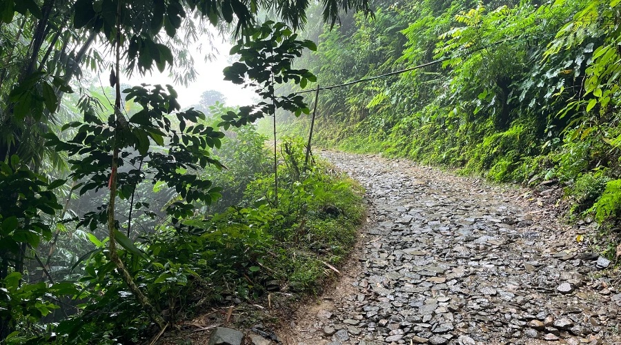 jalanan menuju danau cisadon