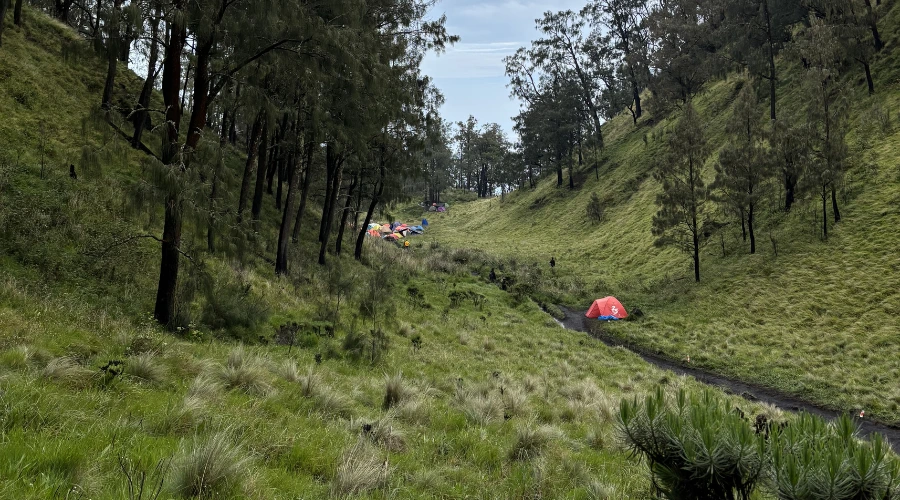 sabana gunung lawu