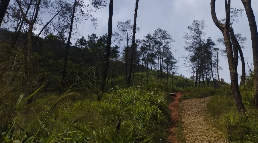 Trek Gunung Beser