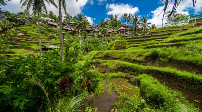 10 Tempat Wisata di Gianyar Bali yang Paling Pas Buat Healing!