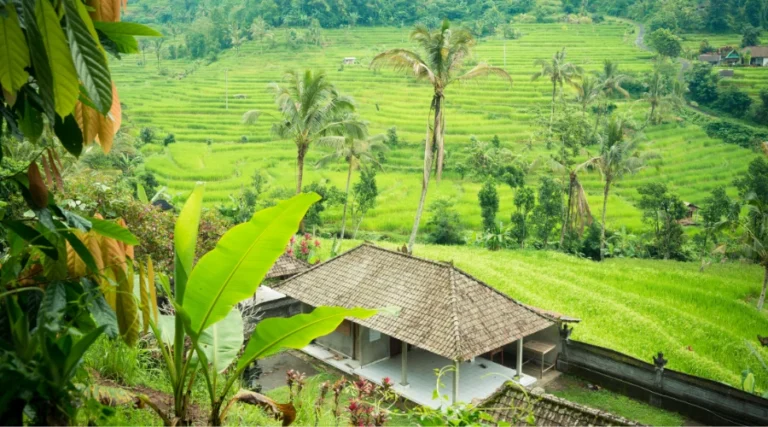 15 Wisata Alam Bali Paling Hits untuk Healing & Solo Trip