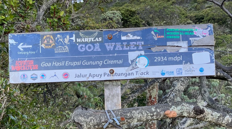 Goa walet