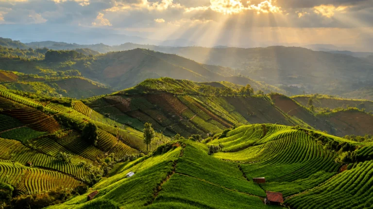 Kabupaten Majalengka